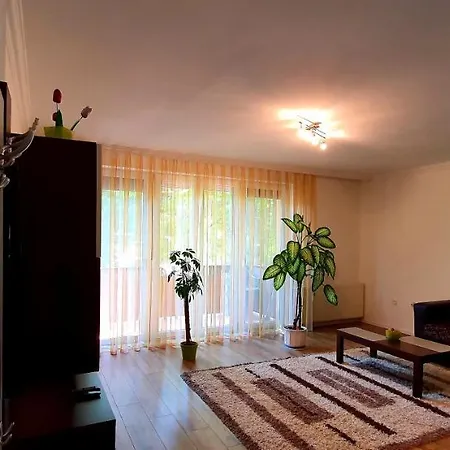 Apartment Bazsi