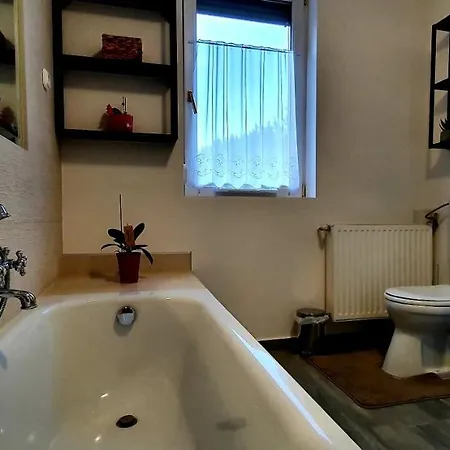 Apartment Bazsi